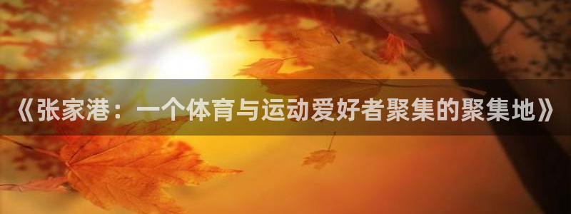 谈球吧：《张家港：一个体育与运动爱好者聚集的聚集地》
