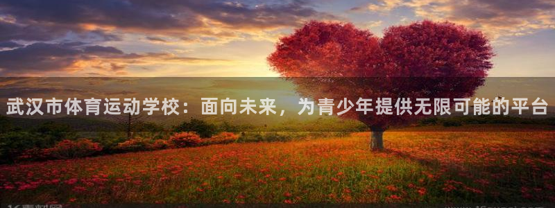 谈球吧体育官网：武汉市体育运动学校：面向未来，为青少年提供无限可能的平台