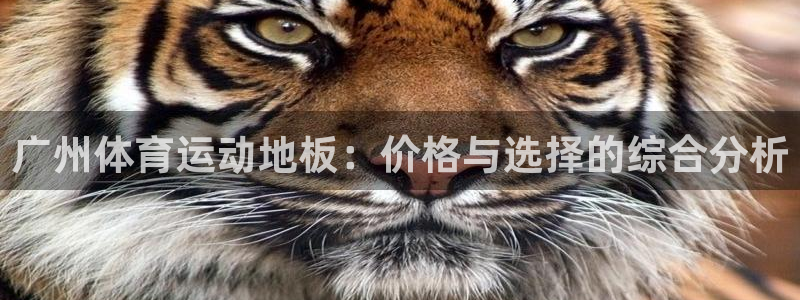 谈球吧体育官网：广州体育运动地板：价格与选择的综合分析
