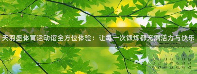 谈球吧：天羽盛体育运动馆全方位体验：让每一次锻炼都充满活力与快乐
