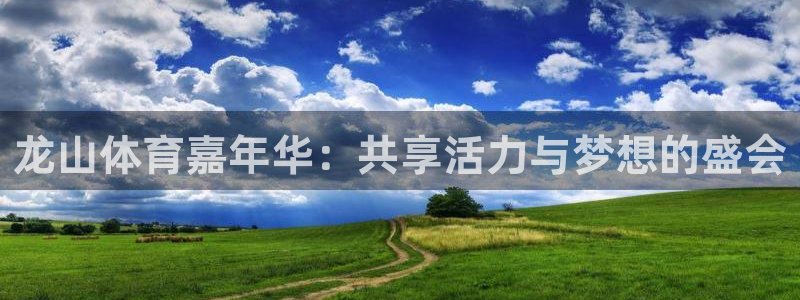 谈球吧体育：龙山体育嘉年华：共享活力与梦想的盛会