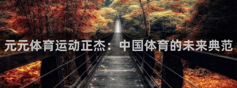 谈球吧体育：元元体育运动正杰：中国体育的未来典范