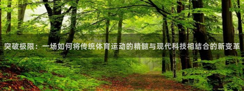谈球吧体育：突破极限：一场如何将传统体育运动的精髓与现代科技相结合的新变革