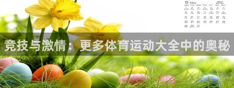谈球吧体育官网：竞技与激情：更多体育运动大全中的奥秘