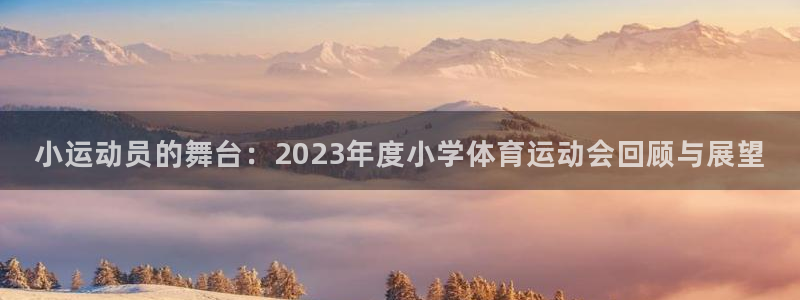 谈球吧体育官网：小运动员的舞台：2023年度小学体育运动会回顾与展望